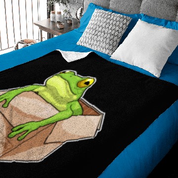 Discover Frog Gift Box Baby Blankets