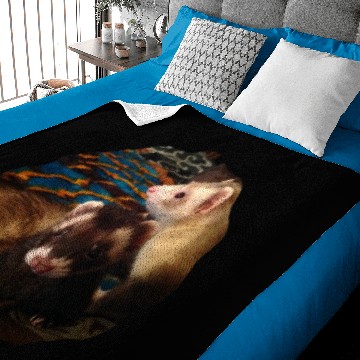 Discover Ferret Gift Adorable Ferrets Baby Blankets