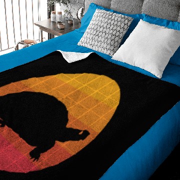 Discover Retro Vintage Box Turtle - Box Turtle - Baby Blankets