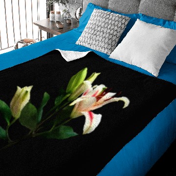 Discover Elegant Lily And Buds Baby Blankets