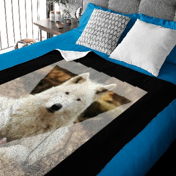 Discover Ivory wolf Baby Blankets