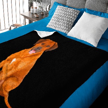 Discover Rhodesian Ridgeback Baby Blankets