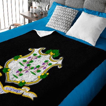 Discover Connecticut Flag Baby Blankets