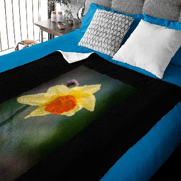 Discover Daffodil Baby Blankets