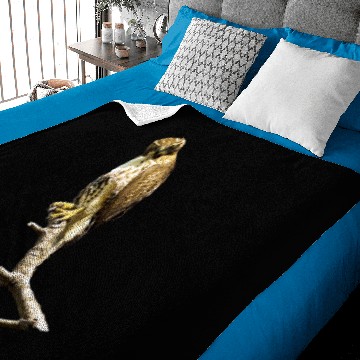 Discover Red Tailed Hawk Perch Baby Blankets