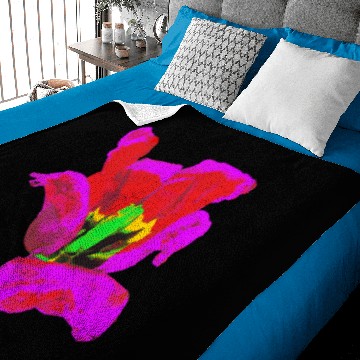 Discover Tulip Baby Blankets