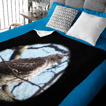 Discover Red-tailed Hawk in Central Park Baby Blankets