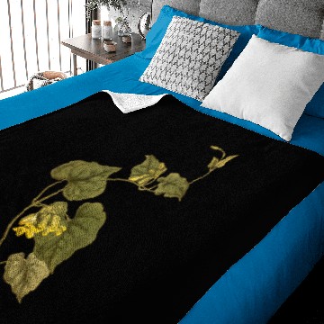 Discover West coast creeper Baby Blankets