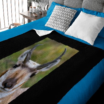 Discover Confidence Baby Blankets