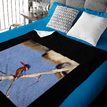 Discover Malachite Kingfisher Baby Blankets