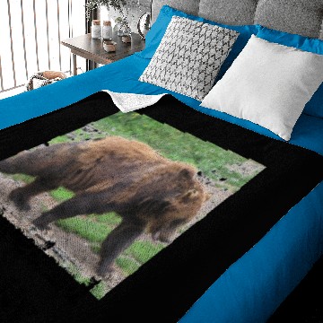 Discover Alaska's Homeland Security Baby Blankets