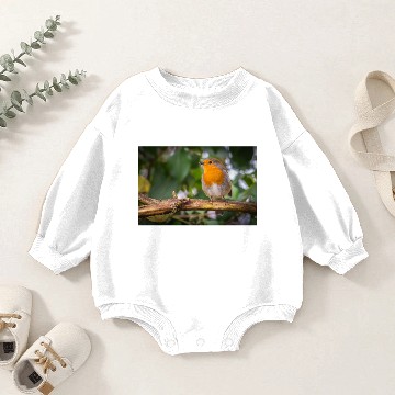 Discover Robin Baby Romper Sweatshirts