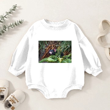 Discover Tasmanian Devil Encounter Baby Romper Sweatshirts