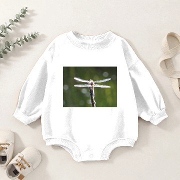 Discover Light grey dragonfly Baby Romper Sweatshirts