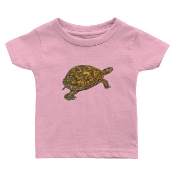 Discover Box Turtle Baby T-shirts