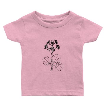 Discover Brook saxifrage Baby T-shirts