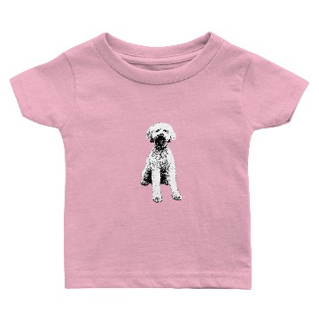 Discover Labradoodle Baby T-shirts