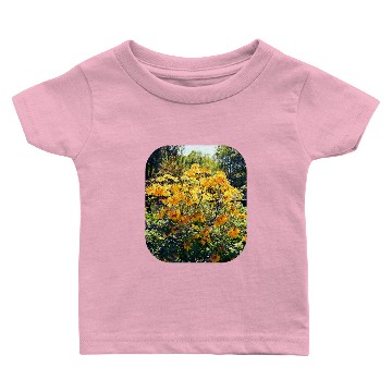 Discover Orange Azalea Baby T-shirts