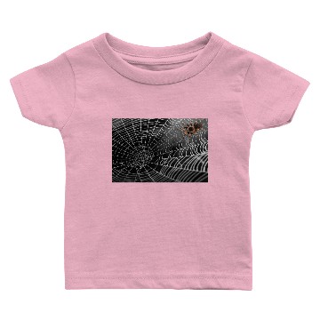 Discover Spiderweb Baby T-shirts