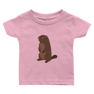 Discover Groundhog Baby T-shirts
