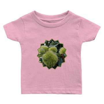 Discover CHESTNUTS...young Nuts Baby T-shirts