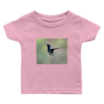 Discover White-necked Jacobin Hummingbird Baby T-shirts