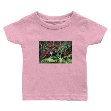 Discover Tasmanian Devil Encounter Baby T-shirts