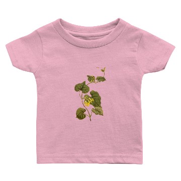 Discover West coast creeper Baby T-shirts