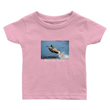 Discover Men's T / Mallard Duck Baby T-shirts