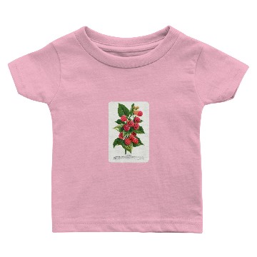 Discover Vintage Cuthbert Raspberry Botanical Speci Baby T-shirts