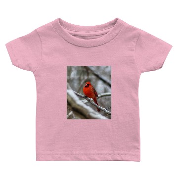 Discover Male Cardinal Baby T-shirts