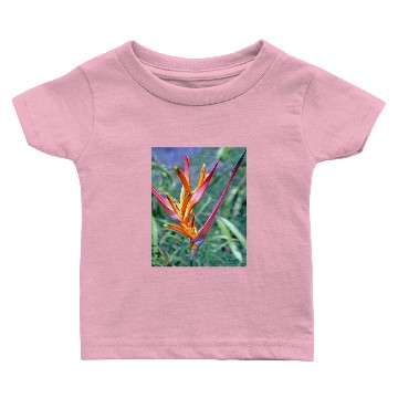 Discover Enhanced Heliconia Flower Baby T-shirts