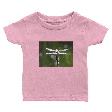 Discover Light grey dragonfly Baby T-shirts