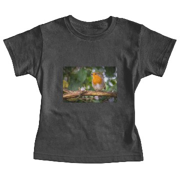 Discover Robin Baby Tees