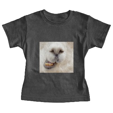 Discover Alpaca Baby Tees
