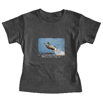 Discover Men's T / Mallard Duck Baby Tees