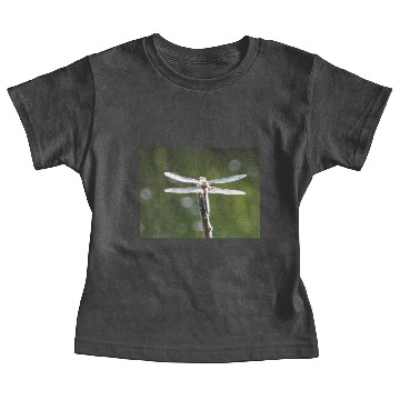 Discover Light grey dragonfly Baby Tees