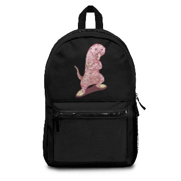 Discover Rufus - Kim Possible - Backpacks