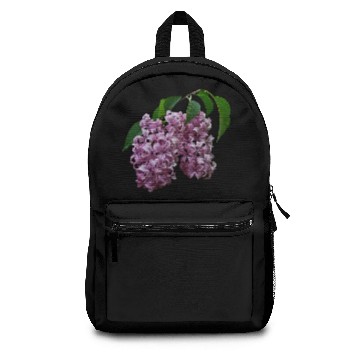 Discover Pink Lilac Duo Backpacks