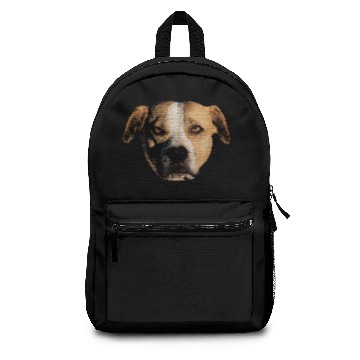 Discover American Stafford Backpacks