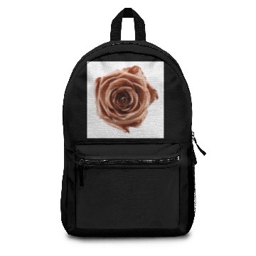 Discover Rose Gold Backpacks