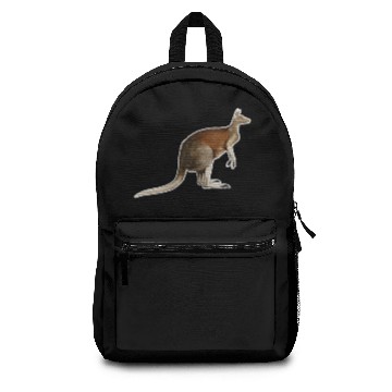 Discover Kangaroo Backpacks