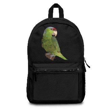 Discover Amazon Parrot Backpacks