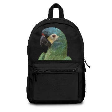 Discover Macaw Backpacks