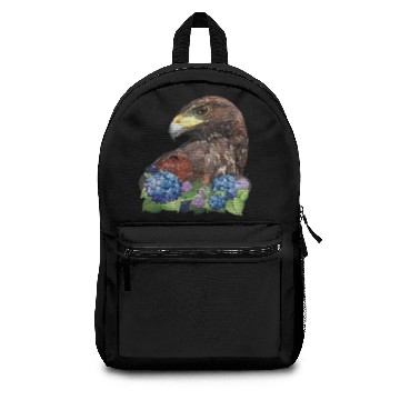 Discover hawk Backpacks
