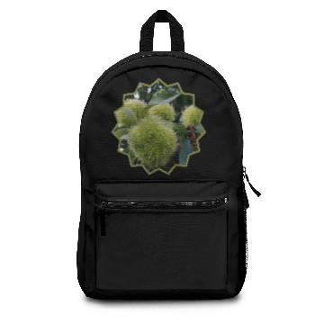 Discover CHESTNUTS...young Nuts Backpacks