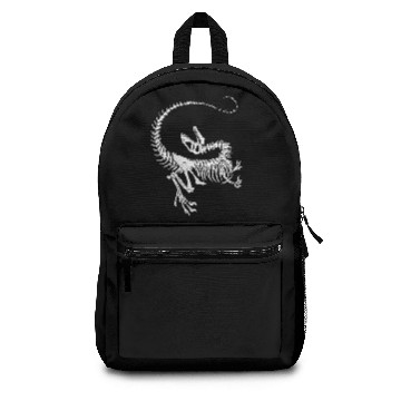 Discover Dinosaur Jr Backpacks