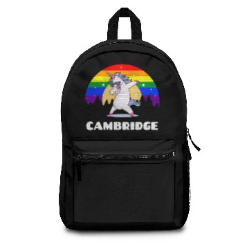 Discover Cambridge Massachusetts LGBTQ Gay Pride Rainbow Backpacks