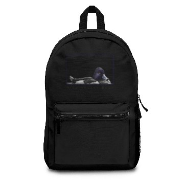 Discover Ringer - Ring-Necked Duck Backpacks