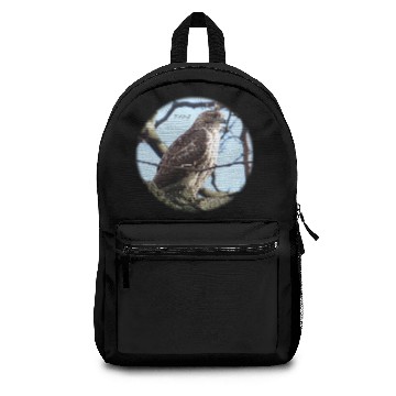 Discover Red-tailed Hawk in Central Park Backpacks